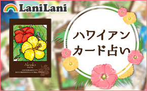 ブランド雑貨総合 【未開封】ハワイアンカード アロヒナニ 中根 麻利